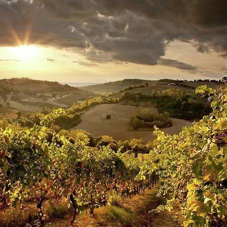 Casa vacanze Beautiful Farmhouse In With Private Terrace Montecarotto
